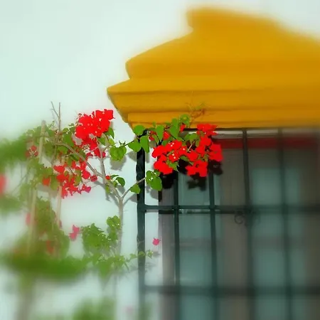 Otel La Casa Grande De *